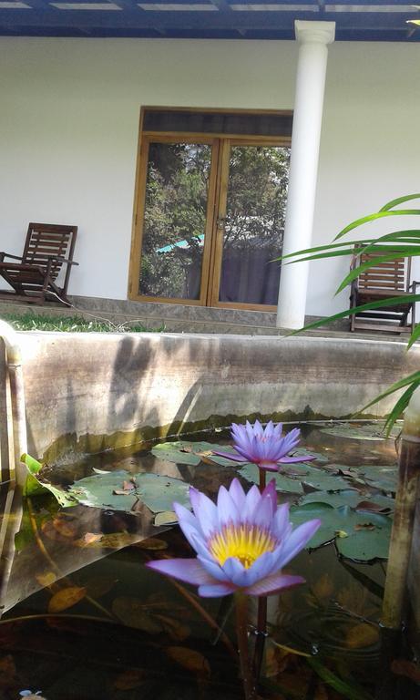 River Retreat Sigiriya Hotel Екстериор снимка