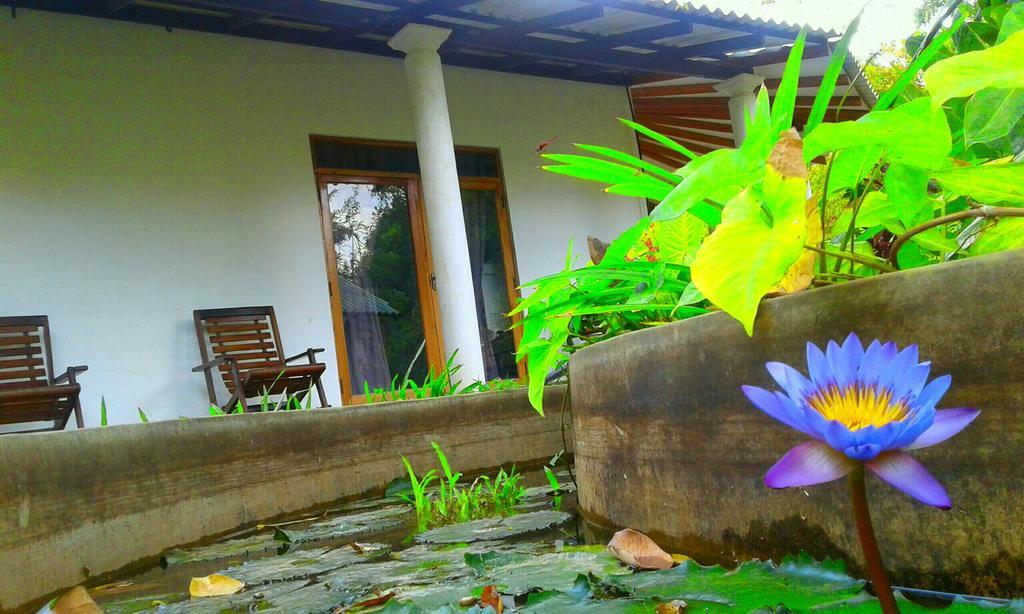 River Retreat Sigiriya Hotel Екстериор снимка